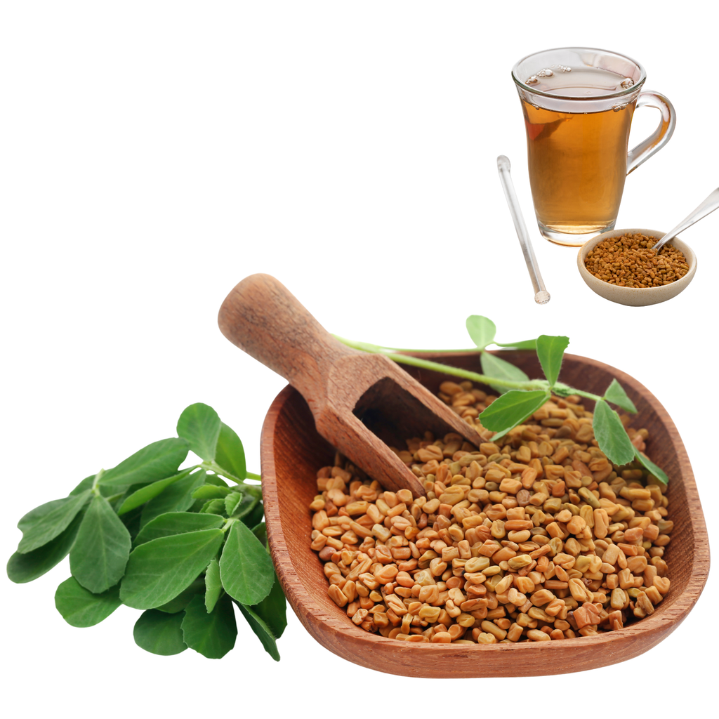 Helba Helba – Graines de Fenugrec Naturelles – Ben Yaghlane