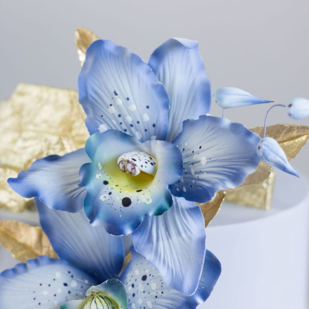 Fleurs en pâte à sucre orchidée costarica Bleu