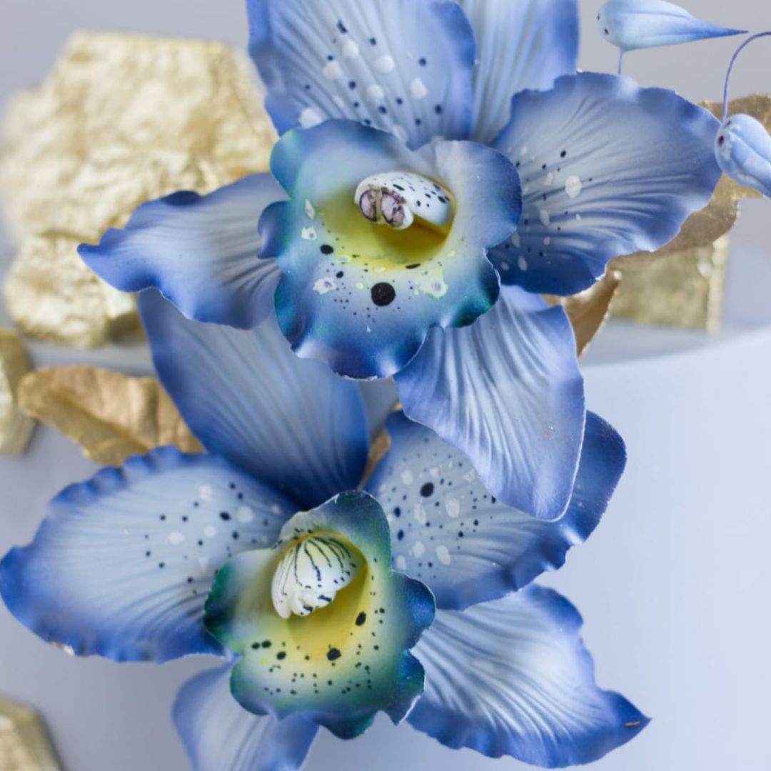 Fleurs en pâte à sucre orchidée costarica Bleu