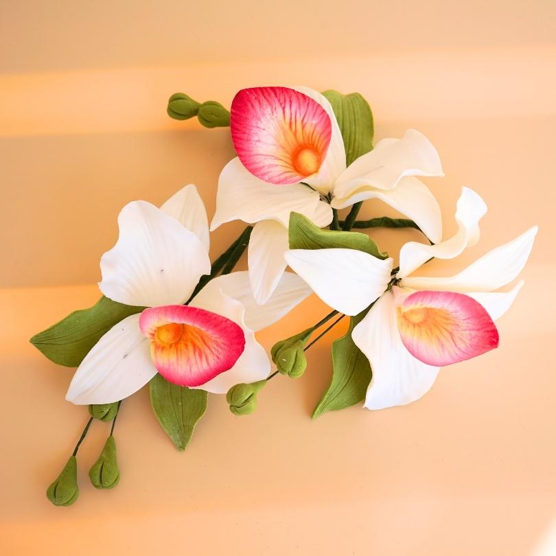 Flair Flower Orchidée en Pot, Rose, 55x22x14 cm107 Flair Flower Orchidée en Pot, Rose, 55x22x14 cm107