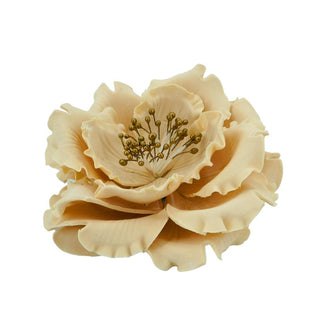 Fleurs "Pivoine sauvage beige" en sucre comestibles