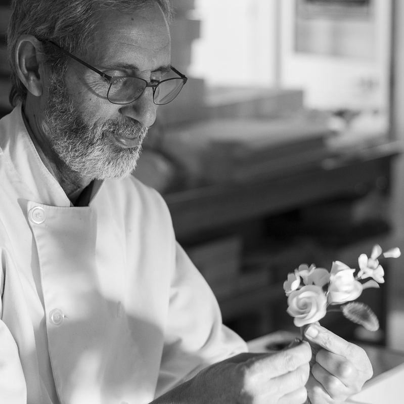 Fleurs "cerisier" en sucre comestibles